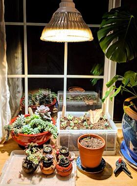 太阳植物生长光灯54室W黄光全光谱660nm内育KGW苗多肉仿补光灯泡3