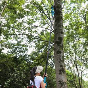 锂电高枝锯加长杆伸缩高空锯树剪果树高枝剪电动园林剪果树