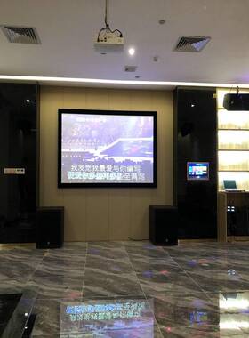 厂家低价直销 10寸8寸白色音箱KTV包厢音响 会议家庭影院K歌音响