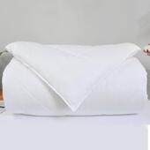 酒店四品季 被房羽丝绒被芯宾馆店客加厚秋冬被芯B100 1纯棉酒床上