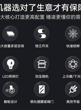 穗凌DLCD-14J麻辣烫点菜展示柜冰柜上冷藏下冷冻保鲜立式商用冷柜