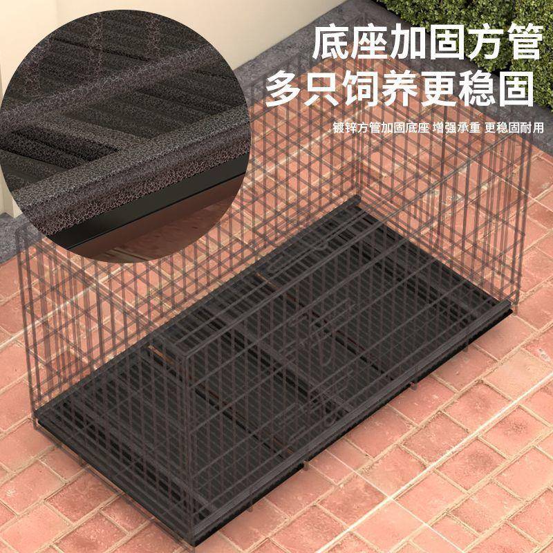 鸡特OZL子家笼用大号家清禽阳台笼养殖粪室外自动滚蛋鸡窝鸡舍