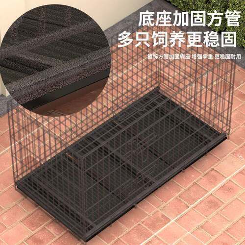 鸡特OZL子家笼用大号家清禽阳台笼养殖粪室外自动滚蛋鸡窝鸡舍