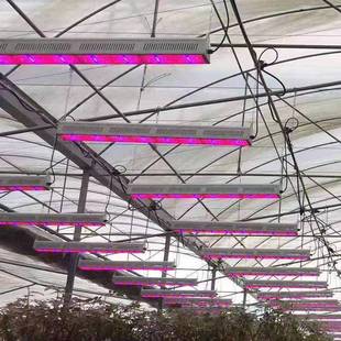 日耀植物补光IBQ灯户外全防植水大棚物灯光谱LD植物生长灯仿太阳E