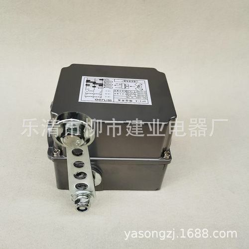 DF1-A DF1-B 重负荷限位开关 行程开关