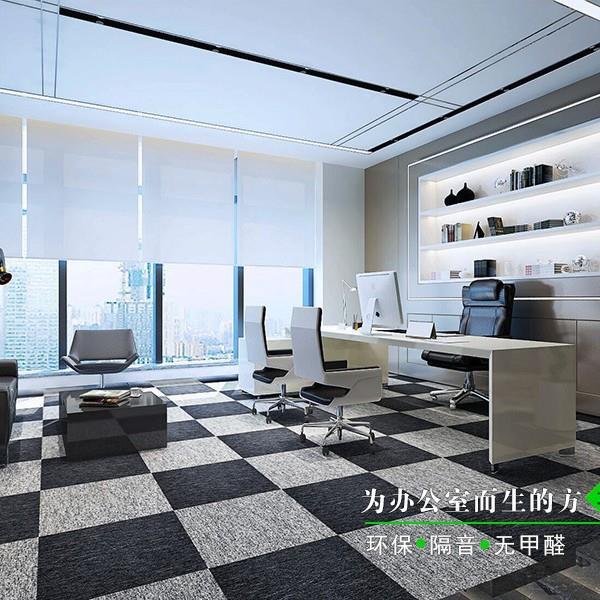 拼办公地毯满铺商用方块接水泥地直垫接铺大面ltao5896室积地商用