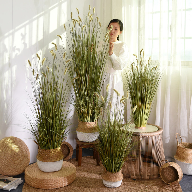 满阳兔尾草绿植盆栽仿真花落地摆件狗尾巴草假草干花芦苇造景装饰