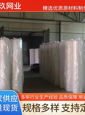 绿色塑料网鸡鸭FBA鹅垫脚漏粪网雏养宠网物笼垫脚塑料网片加厚育