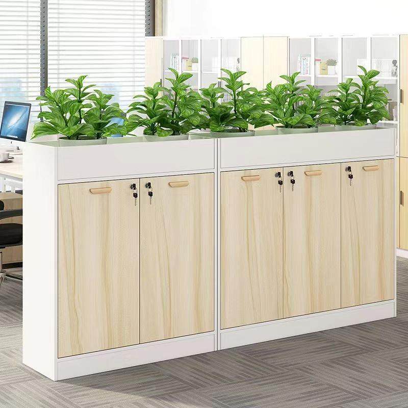 代办公室隔断柜件柜木质带锁约现办简公柜收纳储物柜资料档案文柜,商业/办公家具,办公储物柜,淘宝优惠券,粉丝福利购,淘宝优惠卷