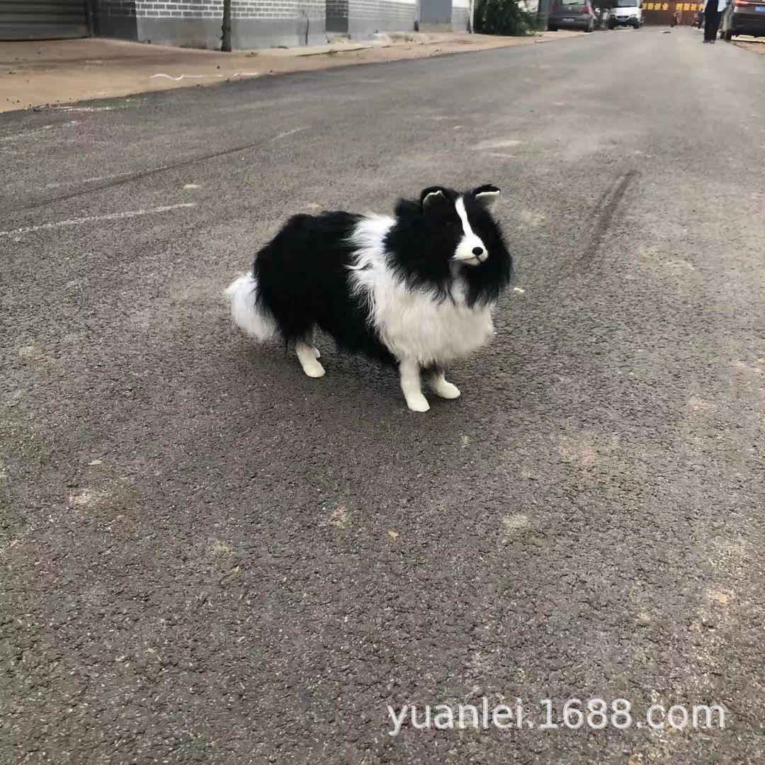 仿真边境牧羊犬黑白狗宠物用品摆件宠物服装道具儿童玩具摆件