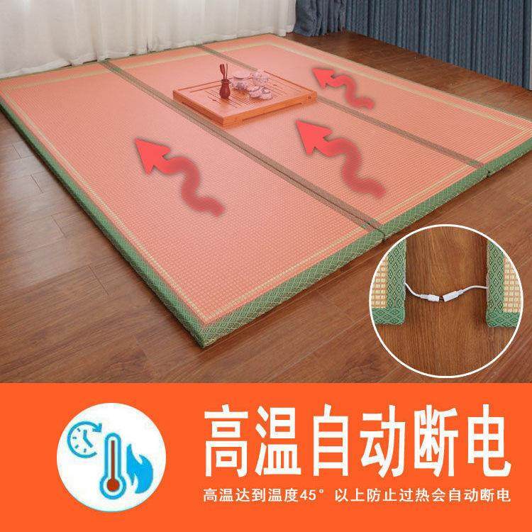 双椰棕电加热榻米榻米垫子日式踏米垫面塌塌床垫子草席JIA踏炕垫