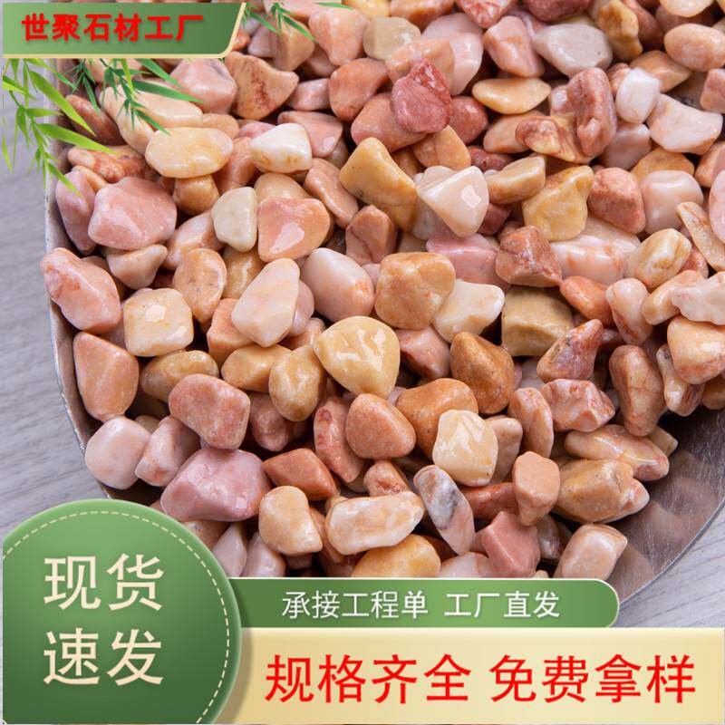 黄水洗石洗米石水磨石水磨石建筑小碎石子 铺路山水造景水洗石