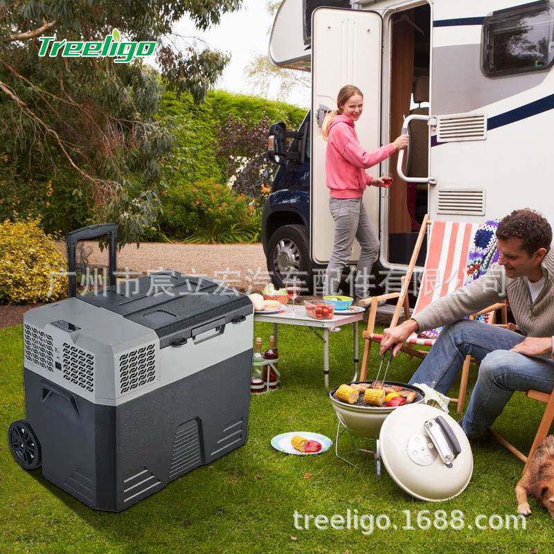 Tr机eelgo汽车冰箱42/52/62342升压缩车载4冰箱12v2v220v旅行i冰