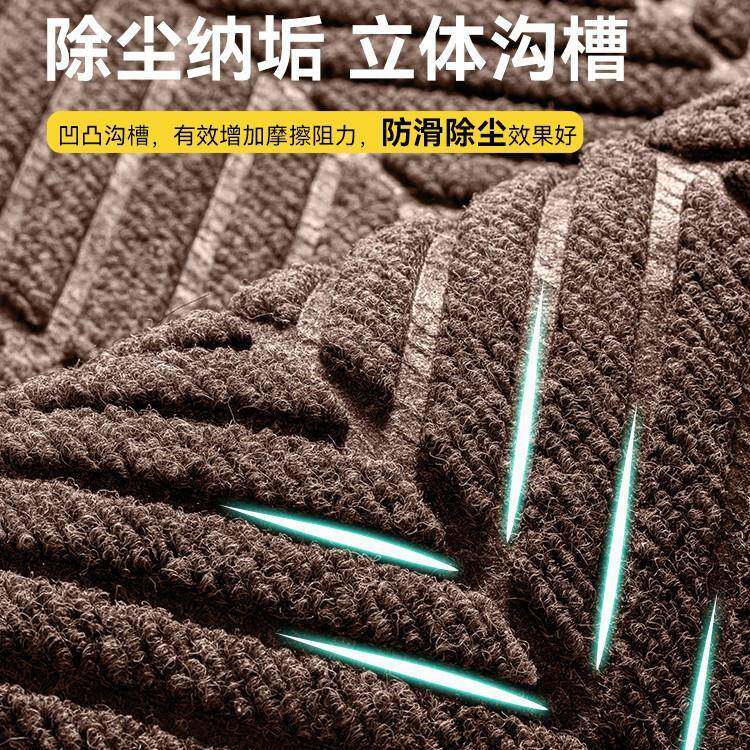10021301墅入别户门地垫202垫5新款进门防门门口地毯可滑擦洗脚垫