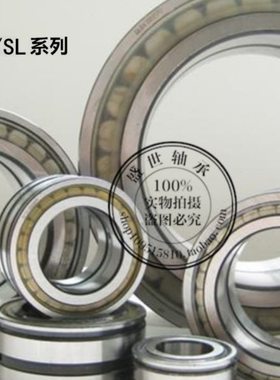 常州满装圆柱滚子轴承SL014864 NNC4864内径320外径400厚度80进口