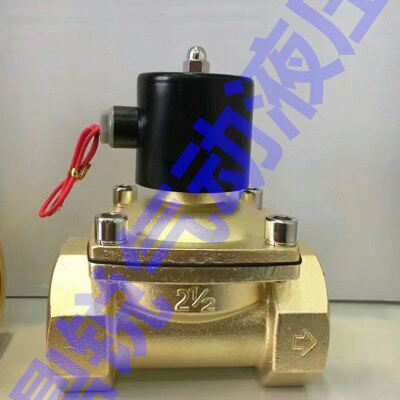 DN100 4寸大口径二位二通电磁阀 四寸两位两通电磁阀