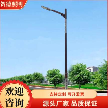 市电户外LED路灯6米8米市电道路单臂双臂新中式太阳能高杆回纹杆