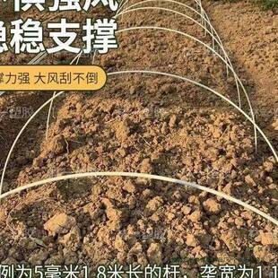 菜地F99M96MS拱杆棚支架小棚树大棚搭棚秧苗遮卉阳草莓花地膜塑料