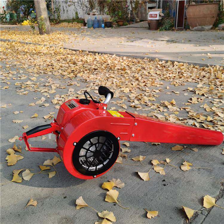 四款汽油FBB吹机冲程新吹雪机背负式风路面吹尘机