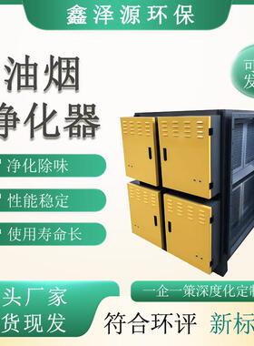 商用餐饮食堂油烟净化器低空静电油烟净化器设备不锈钢油烟过滤器