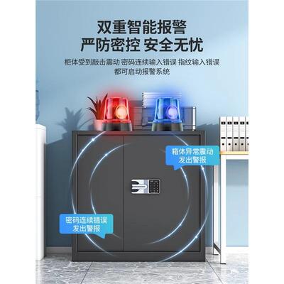 保密柜密公码锁文件铁柜电SX-BMG子皮柜保险柜办矮室指纹锁档案柜