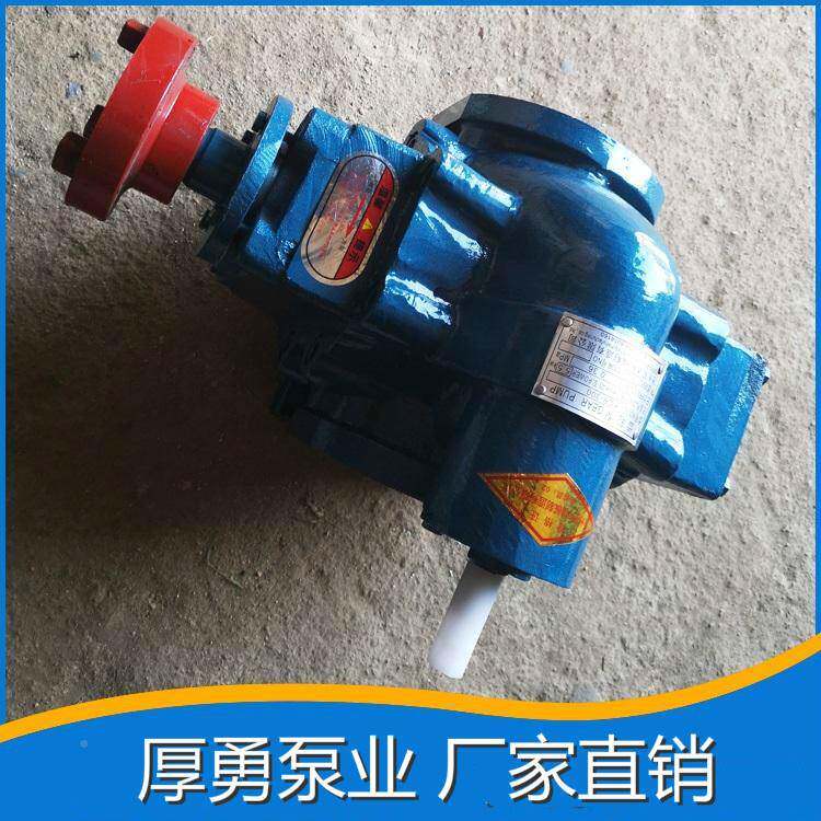 齿轮泵油泵油渣油泵抽油输供油污油输送泵小型硬齿面XPP渣油齿轮