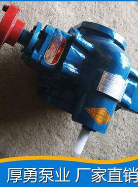 齿轮泵油泵油渣油泵抽油输供油污油输送泵小型硬齿面XPP渣油齿轮