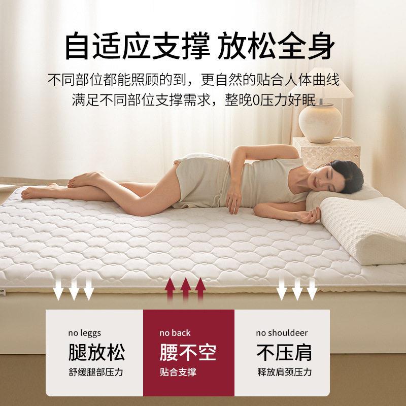 纯床褥加厚床棉垫垫铺底家用卧褥室软垫防滑垫可折叠DAW垫被褥子