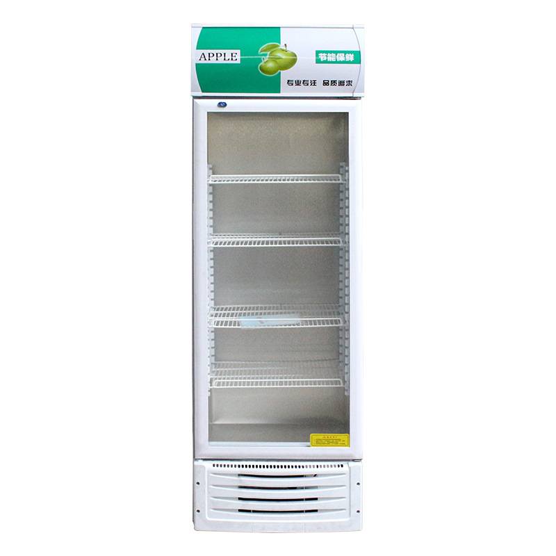 啤酒展示柜 冷藏保鲜柜 立式商用冰箱 单双门饮料柜冰柜