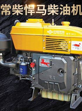 R180-40单缸柴机L2船用发动机L24L28132农用拖拉机水L冷油18马力
