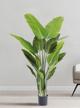仿真绿植室旅人蕉轻装饰大5a83905植型内客厅摆件物盆栽造景假树