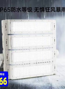 100WLED模组隧道灯户外防水篮球场足球场高杆灯200W300Wled投光灯