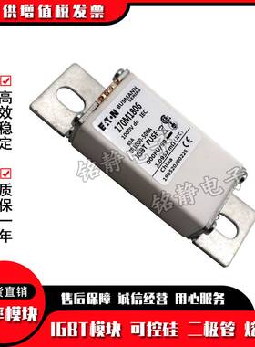 170M1802巴斯曼熔断器170M1803 170M1804 170M1805 170M1806