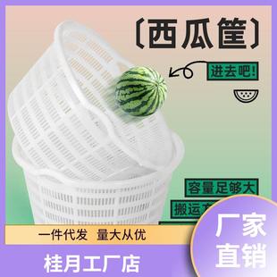 装西瓜的筐水蔬菜塑料周空转加厚无品牌/镂圆塑果料筐筐
