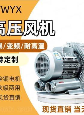 TX风泵B-21D-1250w涡漩202Y风机R小微型高压W真空气泵工厂店
