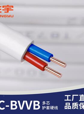阻燃BVVB2*1护套30675扁平平烯行线2芯1.52.546平方聚乙氯绝缘