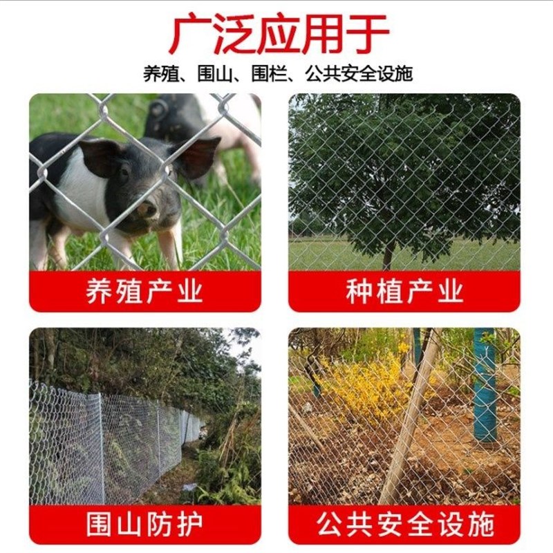 热镀锌钢丝网果园防护网勾花网铁丝网养鸡鹅拦鸡网牛羊养殖围栏网