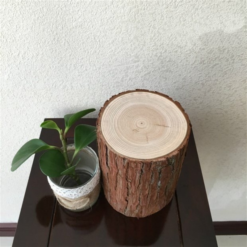 小木桩杉树壁炉摆放装饰木柴原木摆件拍摄道具P装饰木头圆木桩围
