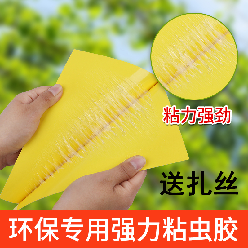 瓜果实蝇针蜂信息素诱虫板粘虫板捕虫器贴粘胶板果园柑橘蔬菜大棚
