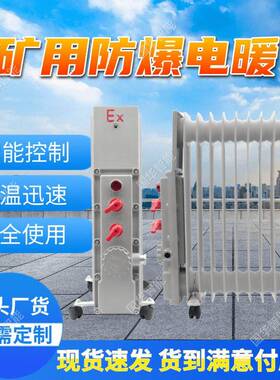 现货矿用取暖器 RB-2000/127(A)煤矿用隔爆兼安型电热取暖器