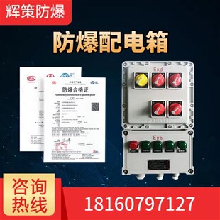 防爆配电箱控制箱操作箱r断路器操作柱磁力启动器插座箱检修箱柜