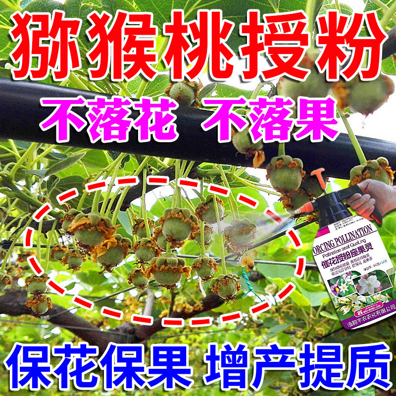 猕猴桃授粉药果i树保花保果药防落果素果实膨大增甜剂花粉结果肥图片
