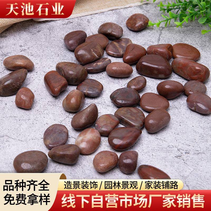 红色鹅卵抛光石灰红色饰雨花石造景饰红装色423装红色石子