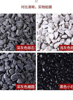 枯山水石子造647景颗粒石水砾洗石黑色碎石日式庭院花铺石地头园