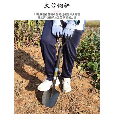 用种植套装农实践工具中小学生劳农具大全铲子业农锄头除471动草