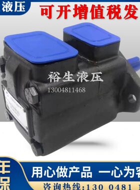 台湾KEISTER凯斯特35VQ21A/25A/30A/32A/35A/38A/45A-1C22R86油泵