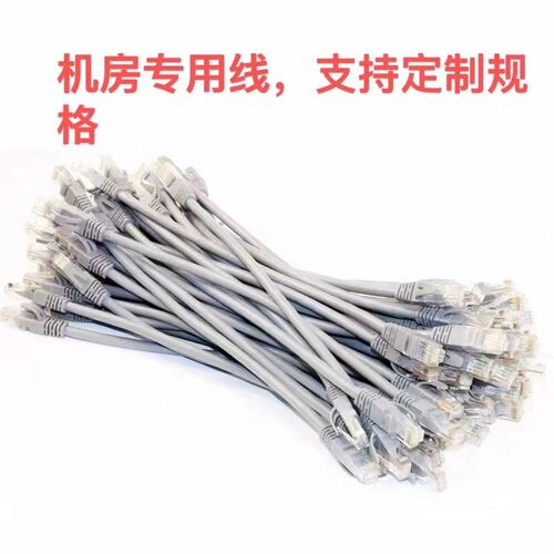 机房机柜短网线0.2米0.3米0.5米0.6米0.8米机制成品网络跳线