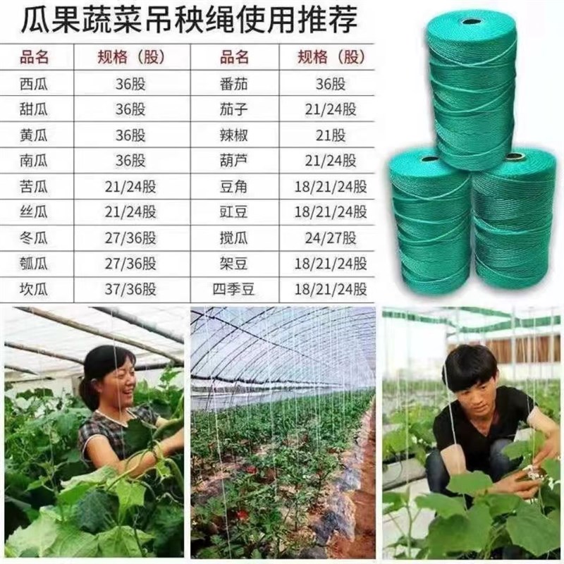 吊秧绳尼龙绳大棚穿膜绳耐磨吊蔓绳子捆扎绳打包绳绑绳塑料尼龙