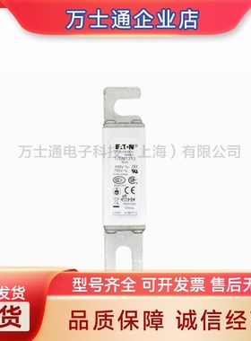 巴斯曼 170M1313 170M1312 170M1311170M1310170M1309 快速熔断器