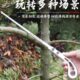品质鸡尾锯手工小锯园林园艺锯手板锯子燕尾锯手持伐木户外锯锋利